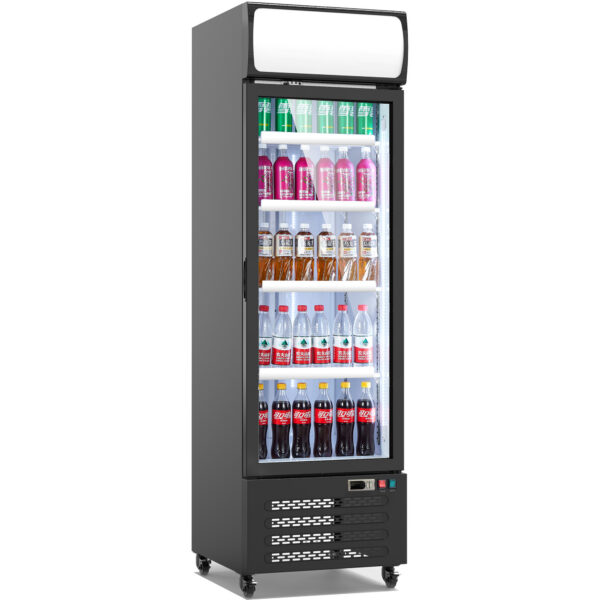 Display Bottle Cooler Upright Single door 338 litres Illuminated top panel | Adexa SC380FA