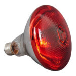 Komerciāls pārtikas sildītājs ar 2 sildlampām GN1/1 | Adexa WL550 - Image 2